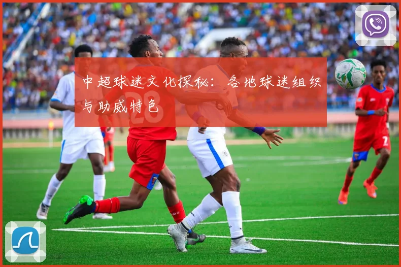 中超球迷文化探秘：各地球迷组织与助威特色