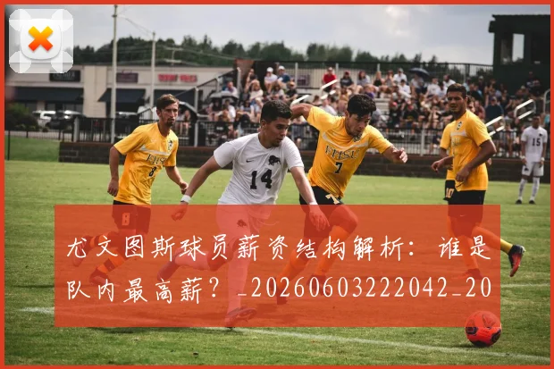 尤文图斯球员薪资结构解析：谁是队内最高薪？_20260603222042_20260703233956