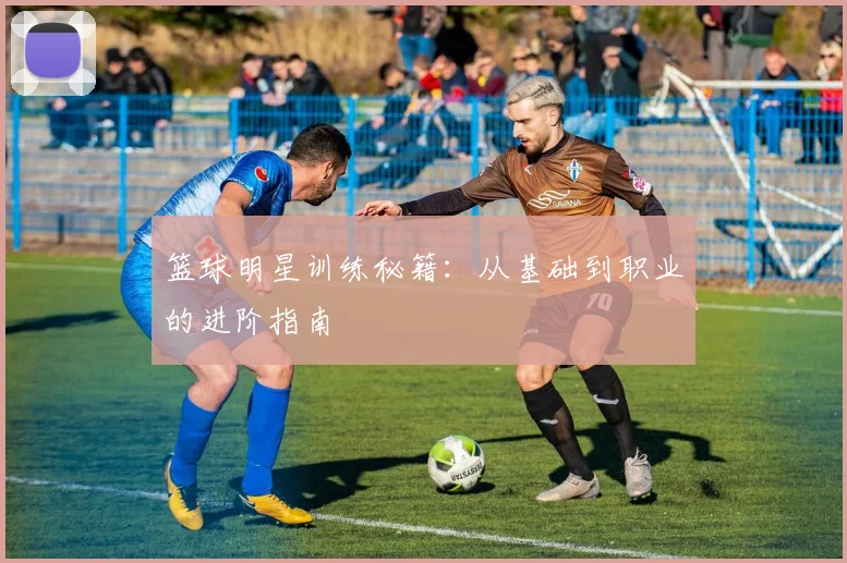 篮球明星训练秘籍:从基础到职业的进阶指南