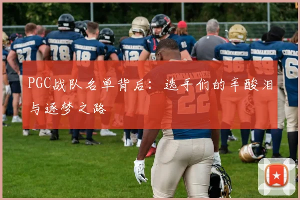 PGC战队名单背后：选手们的辛酸泪与逐梦之路