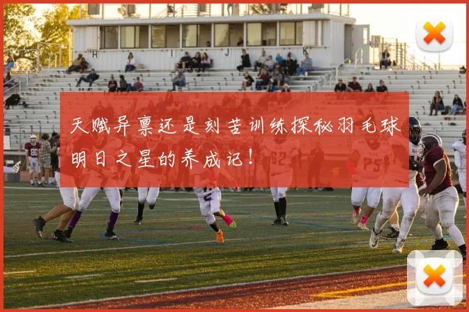 天赋异禀还是刻苦训练探秘羽毛球明日之星的养成记！