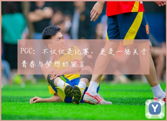 PGC:不仅仅是比赛,更是一场关于青春与梦想的宣言